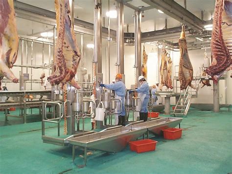 meat plant metal fabrication|meat processing systems.